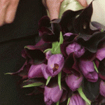 purpleflowers1